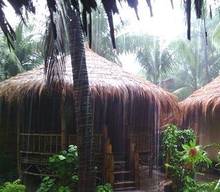 Green Paradise | Sampan Resort