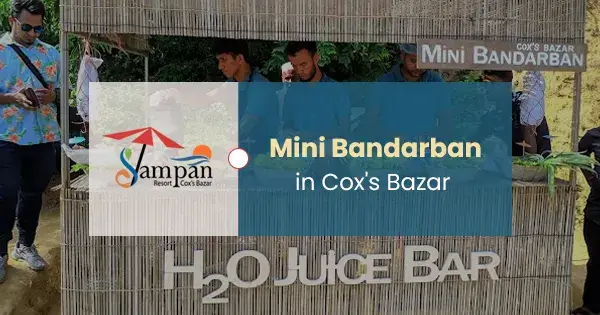Mini Bandarban in Cox's Bazar | Complete Travel Guide