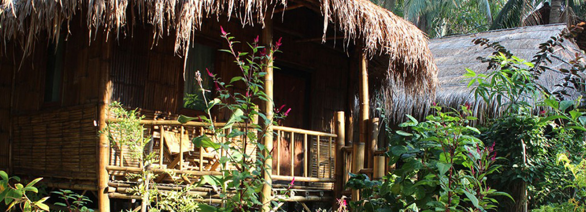 Green Paradise Green Paradise